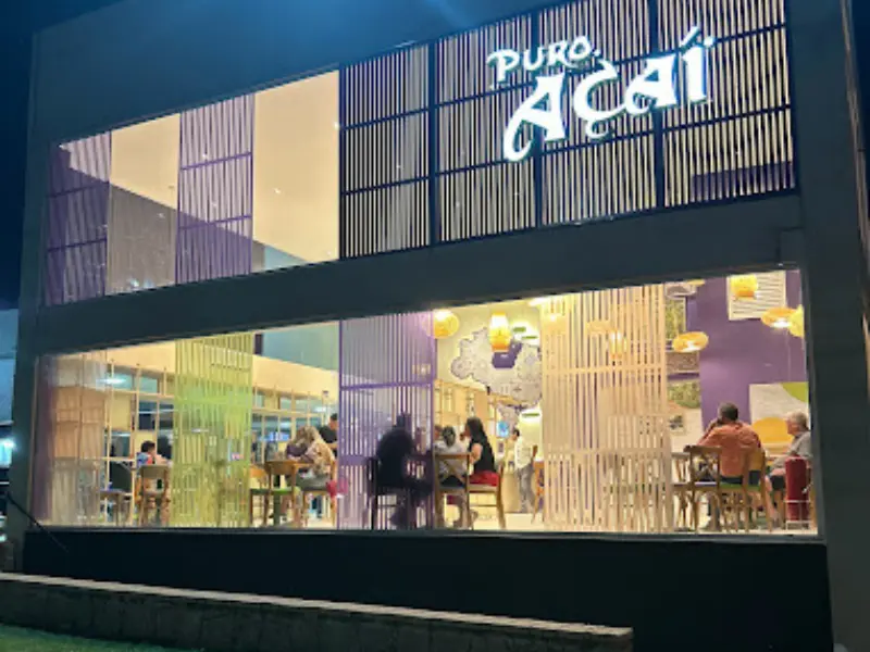 Puro Açaí VII